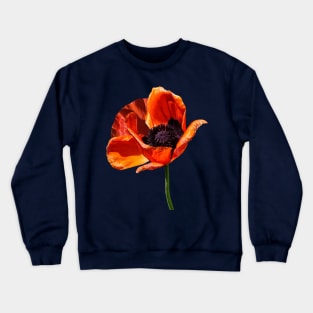 Red Poppy in Sunshine Crewneck Sweatshirt